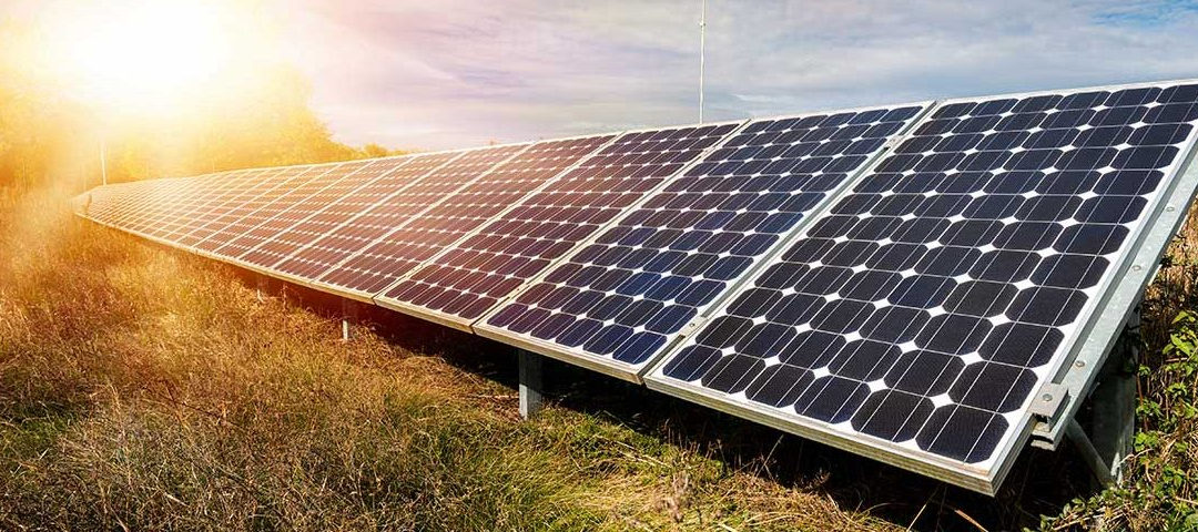 Energia solar fotovoltaica tem papel importante na digitalização do agronegócio, apontam especialistas